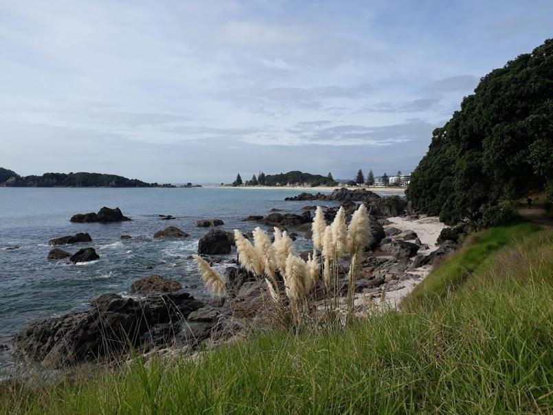 Downtown Mount B And B Mount Maunganui Exterior photo